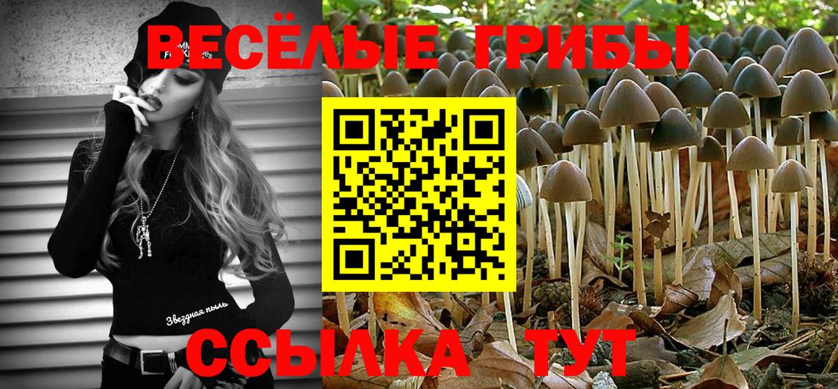 Волоколамск  Галлюциногенные грибы мухоморы  Вход с VPN  Галлюциногенные грибы Psilocybe 