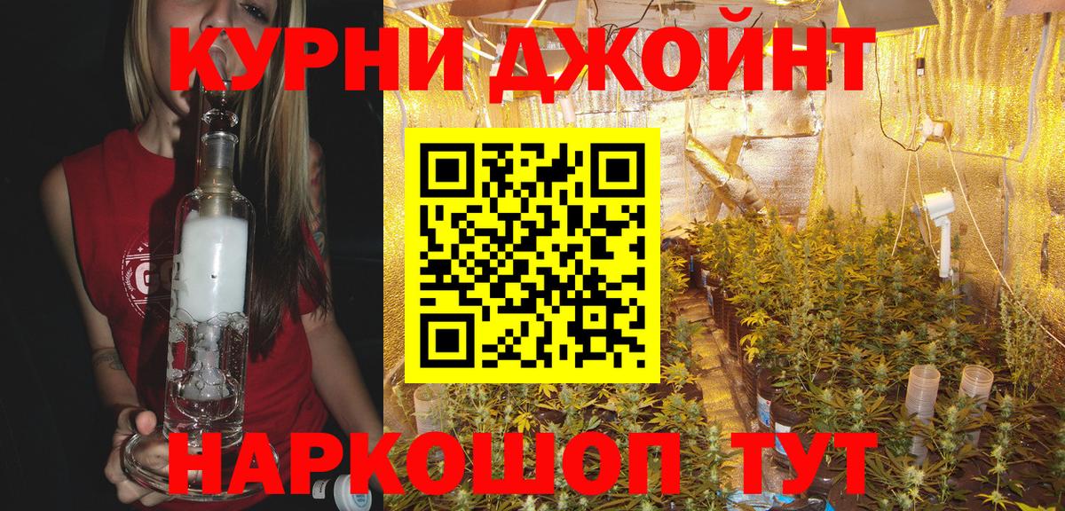 Бошки Шишки марихуана Волоколамск